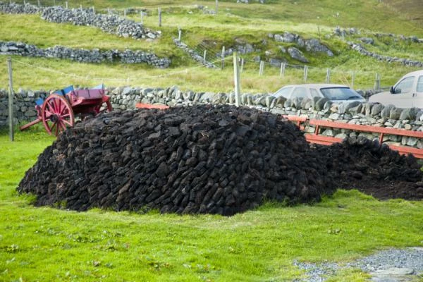Imports of Peat in Australia Sharply Decline to $1.5M in December 2023