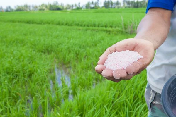 Brazil's Imports of Urea Decrease by 41% to $2.8B in 2023