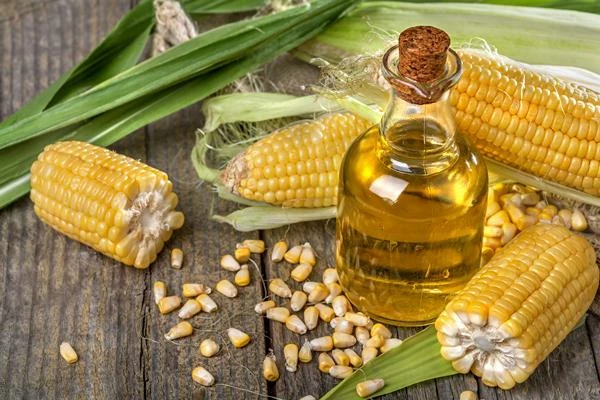 India's July 2023 Maize Export Dips 25% to $59M