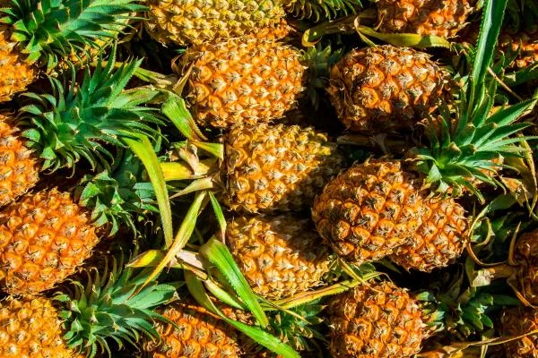 Price of Pineapples in Hong Kong Soars by 9%, Reaching An Average of $1,214 per Ton