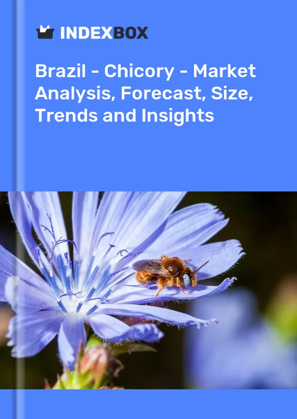 Report Brazil - Chicory - Market Analysis, Forecast, Size, Trends and Insights for 499$