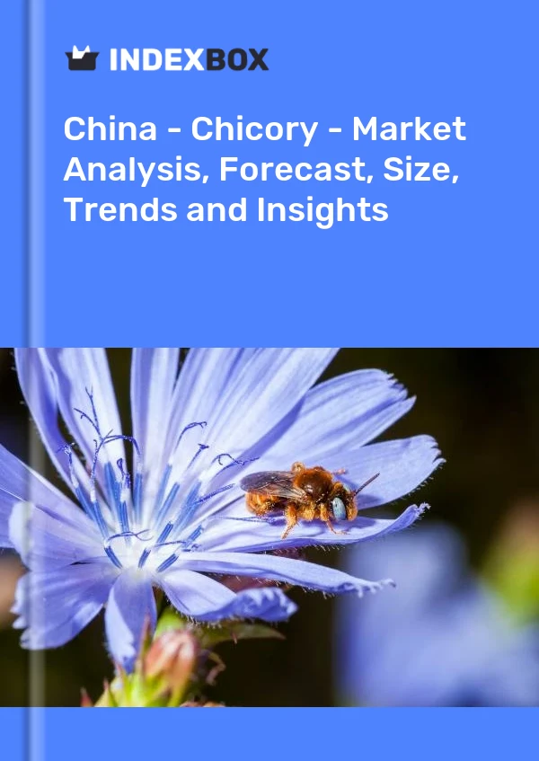 China - Chicory - Market Analysis, Forecast, Size, Trends and Insights