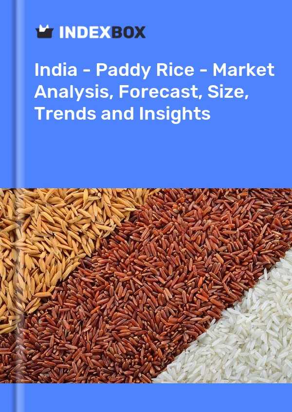 India - Paddy Rice - Market Analysis, Forecast, Size, Trends and Insights