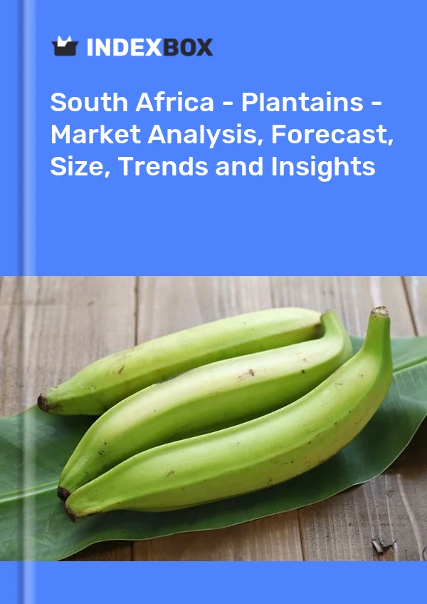 Report South Africa - Plantains - Market Analysis, Forecast, Size, Trends and Insights for 499$