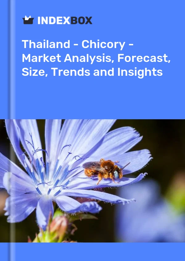 Report Thailand - Chicory - Market Analysis, Forecast, Size, Trends and Insights for 499$