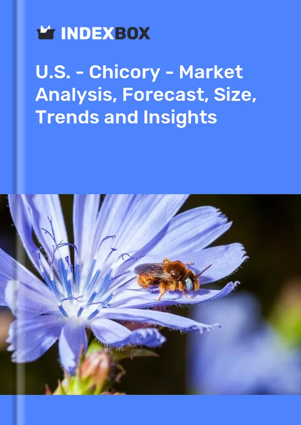 U.S. - Chicory - Market Analysis, Forecast, Size, Trends and Insights