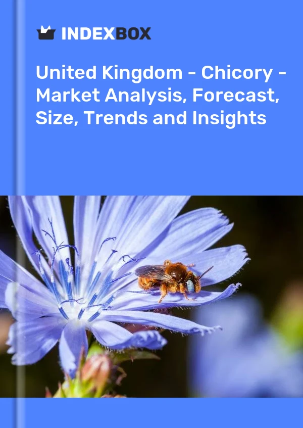 United Kingdom - Chicory - Market Analysis, Forecast, Size, Trends and Insights