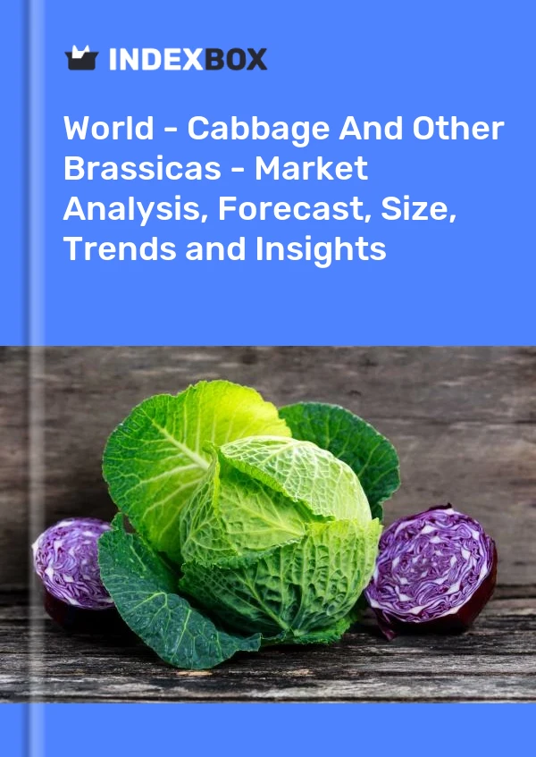 Report World - Cabbage and Other Brassicas - Market Analysis, Forecast, Size, Trends and Insights for 499$