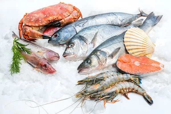 Brazil's Frozen Fish and Seafood Imports Decline by 4%, Totaling $467 Million in 2023