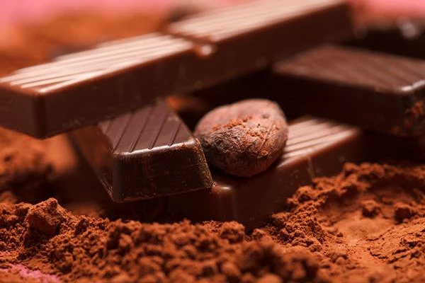 Dutch Chocolate Export Reaches All-Time High of $2.8B in 2023