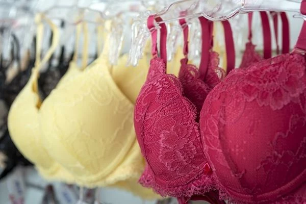 Which Country Imports the Most Brassieres and Corsets in the World?