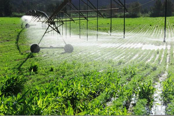 Frances Export Revenue for Pesticides Reaches $4.1 Billion in 2023