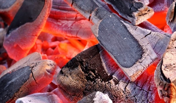 India's Wood Charcoal Exports Plummet to $45M in 2023