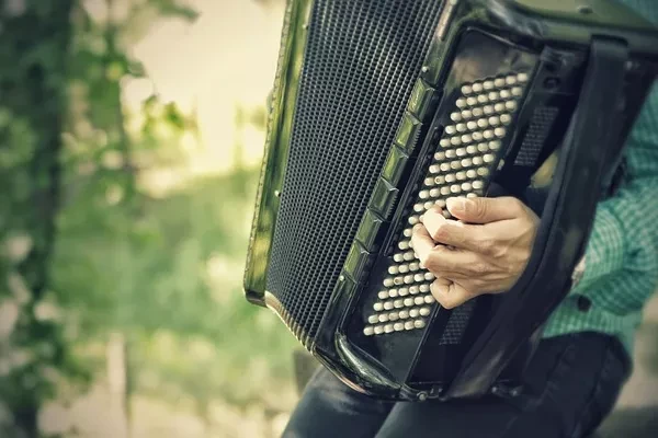 Accordion Imports in South Africa Drop to $406K in 2023