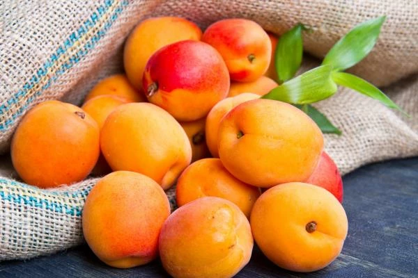 Apricot Market in Eastern Europe - the Growth of Russian Imports Is Losing Momentum