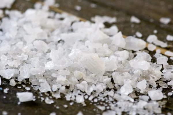 Salt Market - Chile’s Exports of Salt Grow at a Rapid Pace