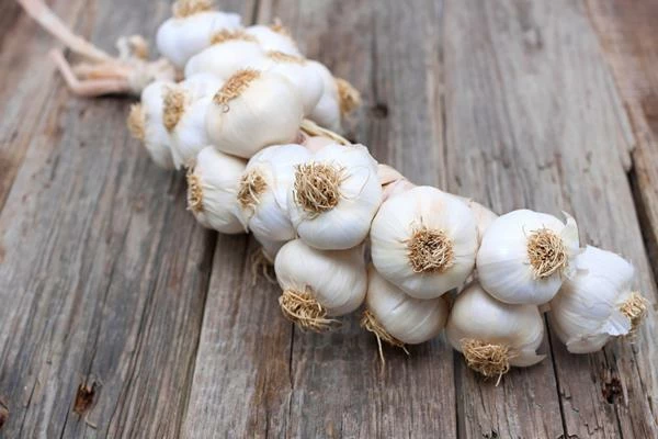 Global Garlic Imports Surged But Record Chinese Exports Curb Price Growth