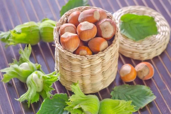 Spain's Hazelnut Price Grows Slightly to $6,650 per Ton