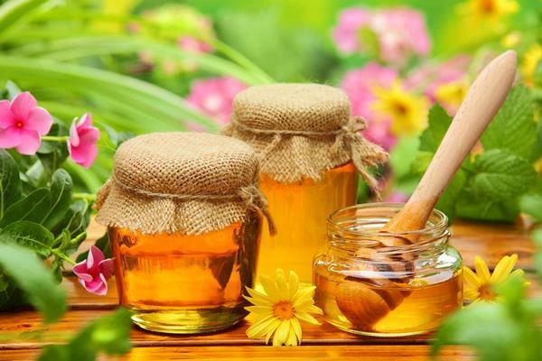 Which Countries Produce the Most Honey?