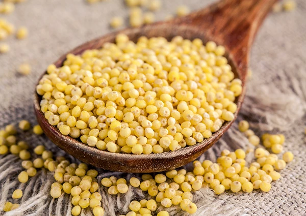 Millet Export in China Plummets 15% to $421K in March 2023