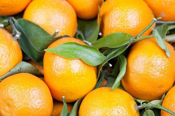 Global Orange Production Surges Despite Processing Is Held Back by the Pandemic