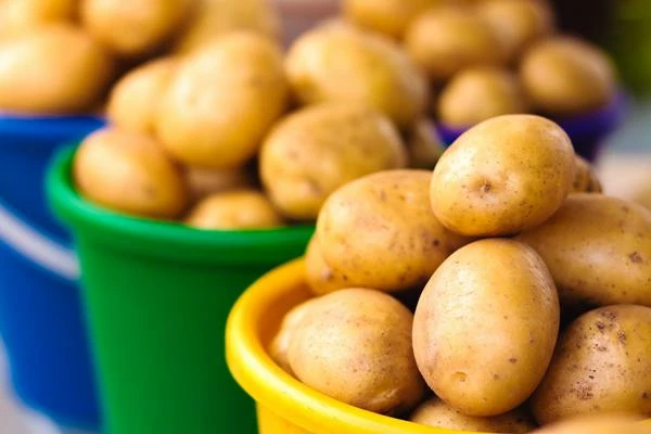 Potato Price per Ton April 2022