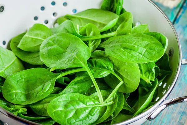 Spinach Imports in Canada Hit Record Low at $92M in 2023