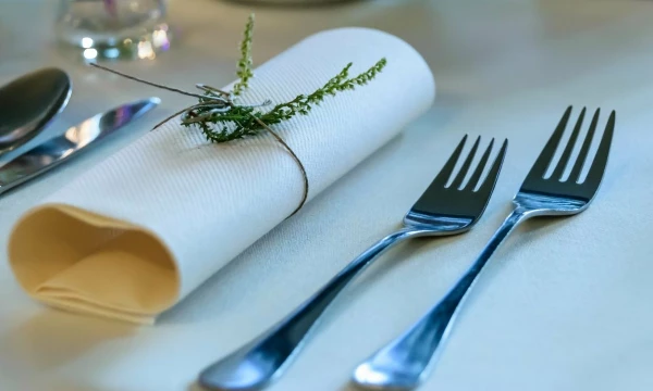 Mexico's Table Flatware Price Slumps 13% to $9,255 per Ton, Fluctuating Wildly over 2022