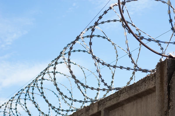Australia Sees 16% Drop in Barbed Wire Imports, Now at $1.7 Million in 2023