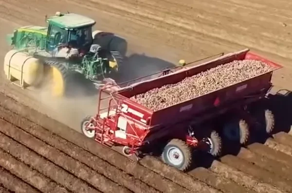 Spain's Potato Harvester Imports Drop to $523K in 2023
