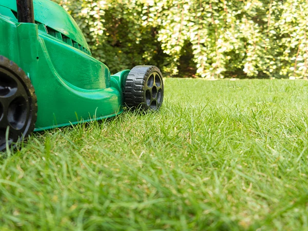 Best Import Markets for Mowers for Lawns, Parks, or Sports Grounds