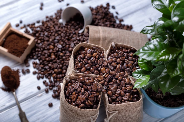 Price of Non-decaffeinated Roasted Coffee in South Africa Increases Significantly to $13.2 per kg