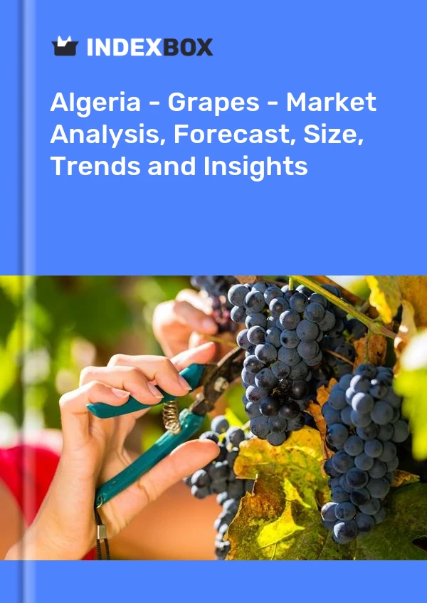 Report Algeria - Grapes - Market Analysis, Forecast, Size, Trends and Insights for 499$