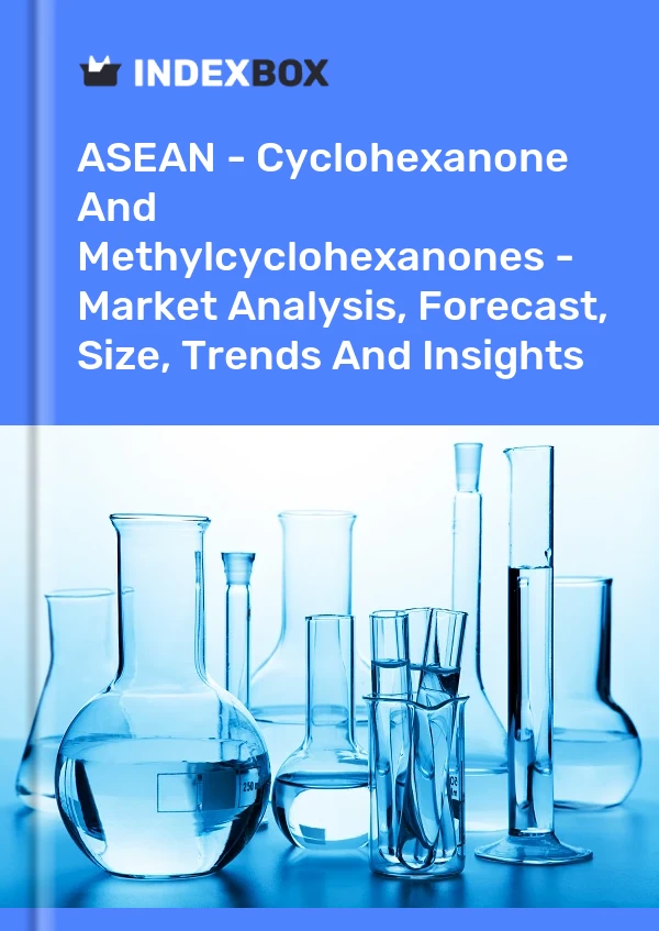 Report ASEAN - Cyclohexanone and Methylcyclohexanones - Market Analysis, Forecast, Size, Trends and Insights for 499$