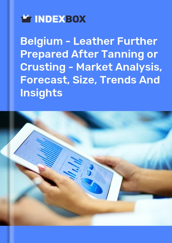 Belgium - Leather Further Prepared After Tanning or Crusting - Market Analysis, Forecast, Size, Trends And Insights