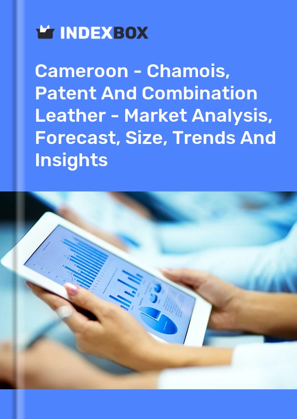 Report Cameroon - Chamois, Patent and Combination Leather - Market Analysis, Forecast, Size, Trends and Insights for 499$