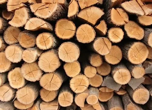 Top Import Markets for Industrial Roundwood (Non-Coniferous)