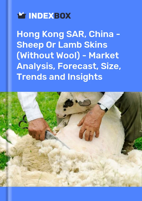 Hong Kong SAR, China - Sheep Or Lamb Skins (Without Wool) - Market Analysis, Forecast, Size, Trends and Insights