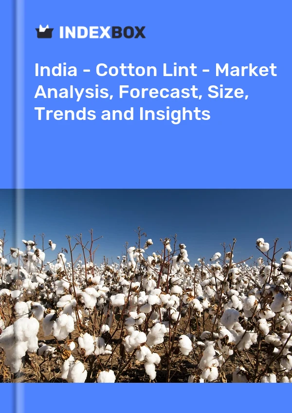 India's Cotton Lint Price Stands at 2,302 per Ton News and