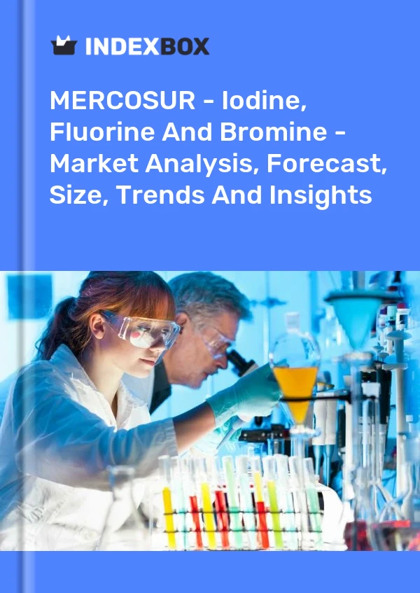 Report MERCOSUR - Iodine, Fluorine and Bromine - Market Analysis, Forecast, Size, Trends and Insights for 499$