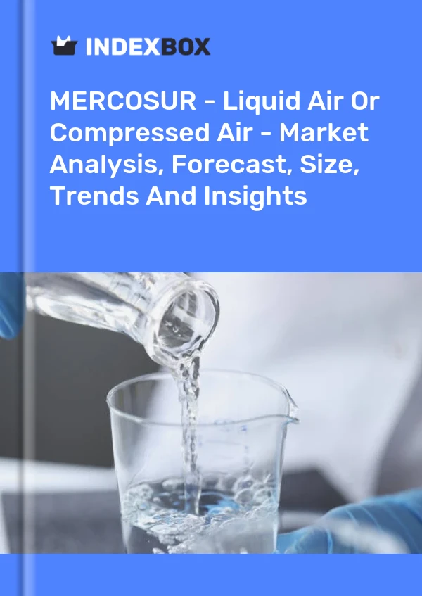 Report MERCOSUR - Liquid Air or Compressed Air - Market Analysis, Forecast, Size, Trends and Insights for 499$
