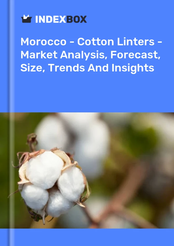 Morocco - Cotton Linters - Market Analysis, Forecast, Size, Trends And Insights