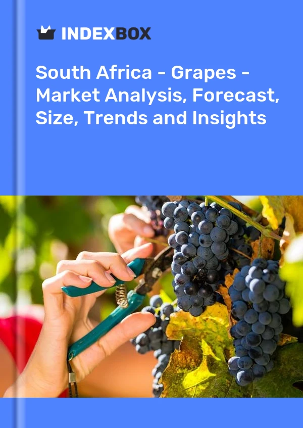 Report South Africa - Grapes - Market Analysis, Forecast, Size, Trends and Insights for 499$