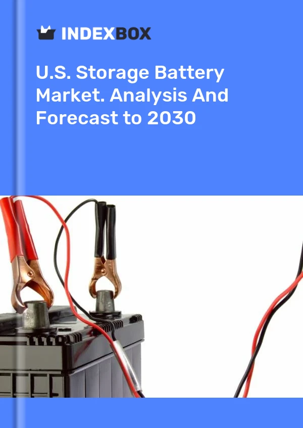Report U.S. Storage Battery Market. Analysis and Forecast to 2030 for 499$