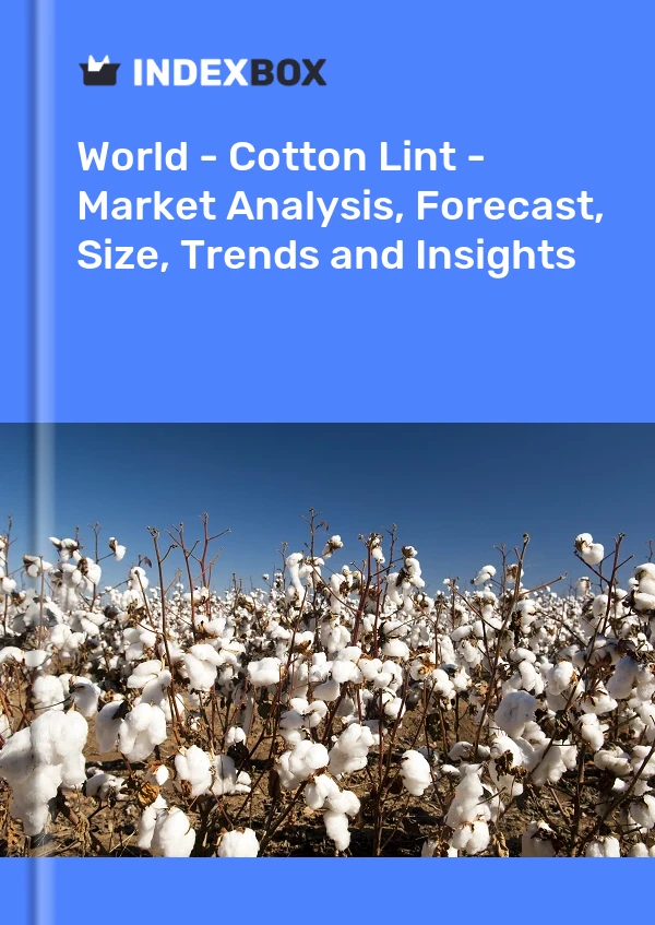 India cotton output seen rising 12% on bigger crop area, says trade body